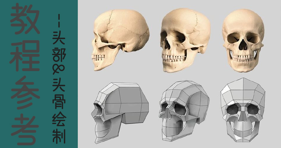 【CG插画教程】一组头部&头骨画法参考
